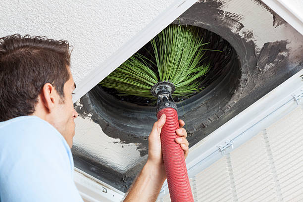 Best Home Air Vent Cleaning  in Covington, LA