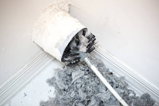 Best Professional Duct Cleaning Services  in Covington, LA